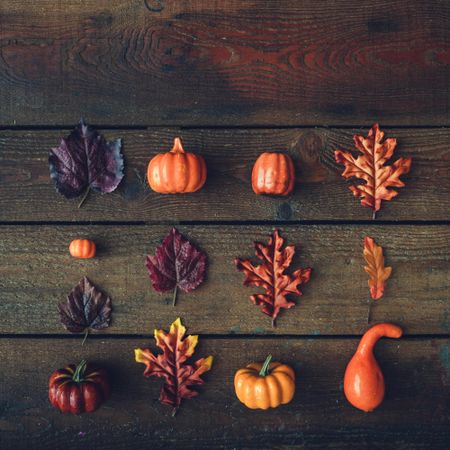 Creative autumn Halloween layout with various leaves and pumpkins in rows