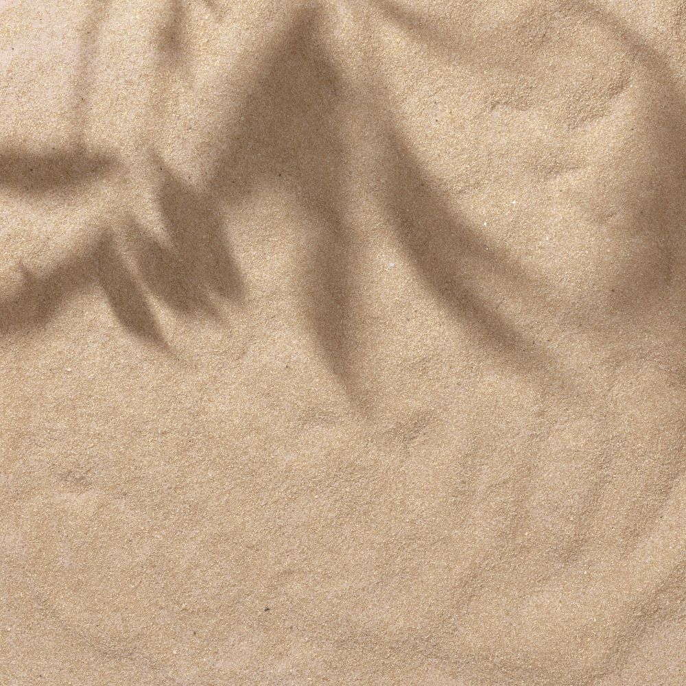 Sand with palm leaf shadows