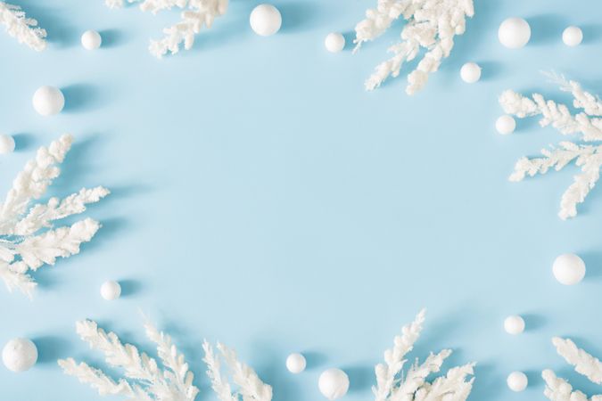 Snowy Christmas tree branches on pastel blue background