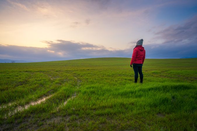 Traveling man walking on green rural road