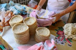 Crop baker near fresh corn tortilla stacks at counter