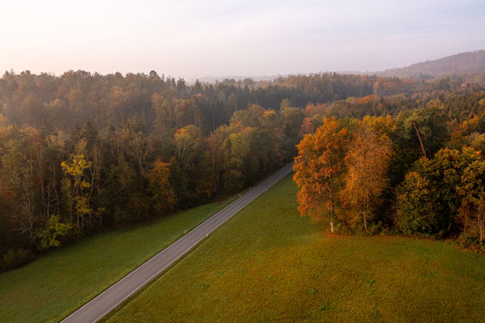 Drone image with a single-lane road in an autumn scenery at sunrise