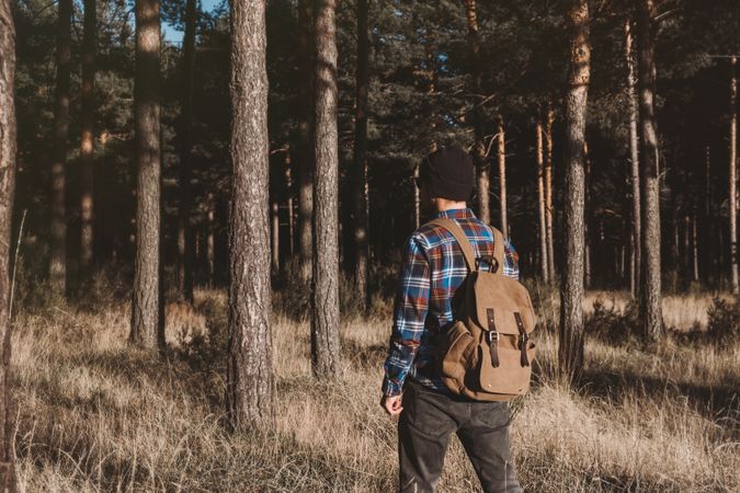 Confident tourist walking along autumn forest