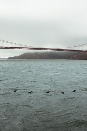 Red bridge construction over wavy dark water