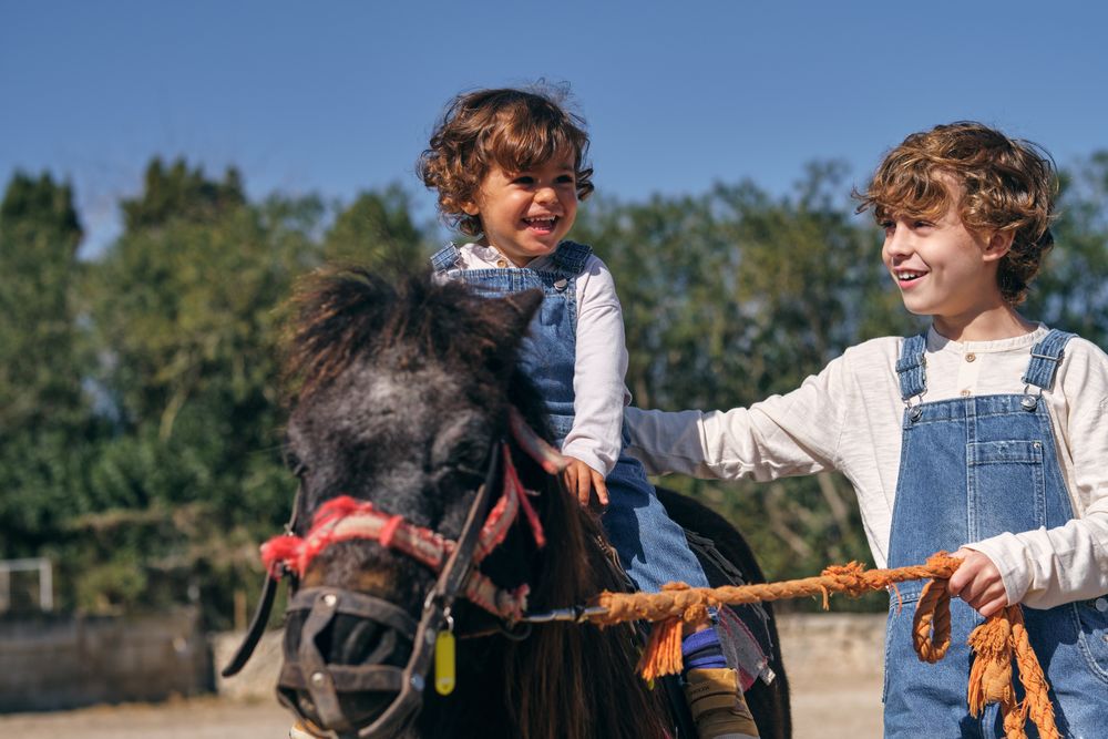 Happy little brothers riding pony in countryside