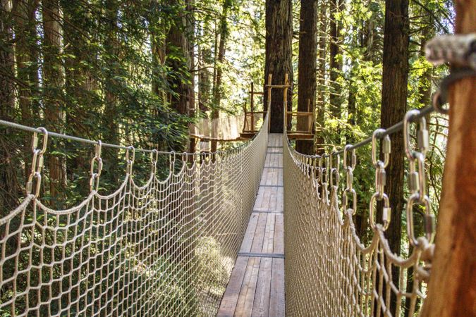 Pedestrian suspension bridge in the forest