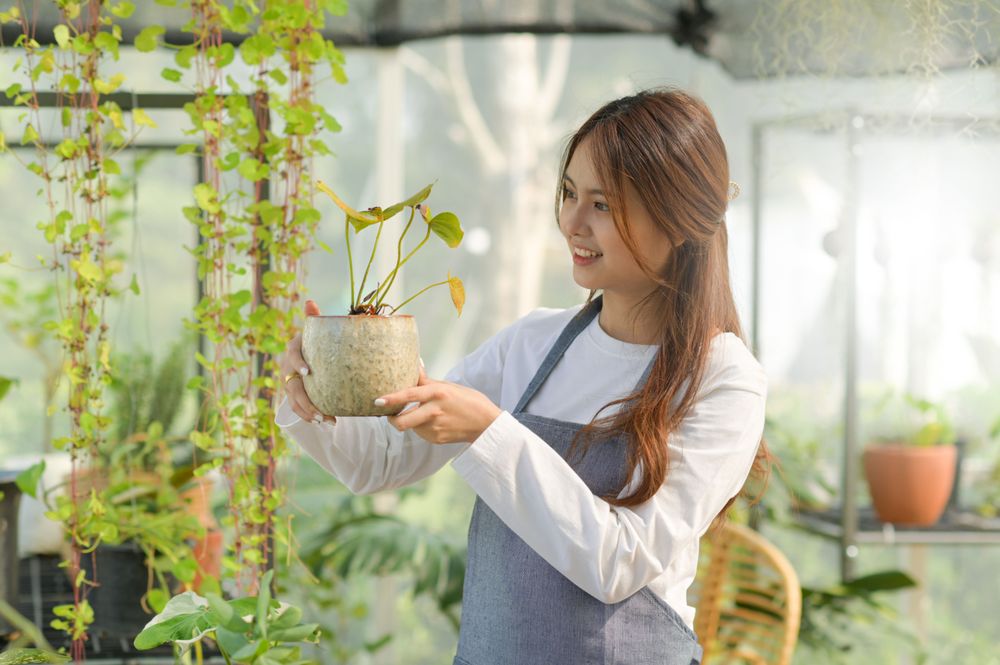 Young woman caring for trees in a greenhouse, planting trees, plant care equipment, planting greenhouses.