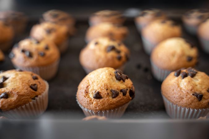 Close up of fresh chocolate cupcakes resting on a metal tray after being baked