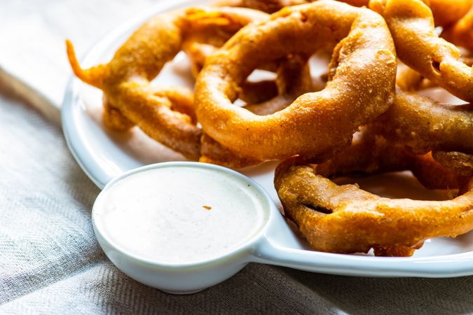 Plate of onion rings
