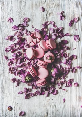 Sweet pink macaron cookies on bed of purple petals, vertical composition