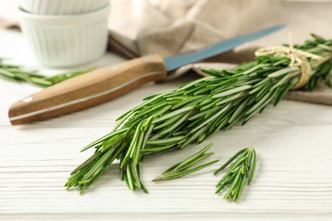 Composition with rosemary, knife, towel and sauceboats on plain background