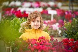 Positive preteen boy near blooming bright flowers in pots