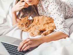 Cute ginger cat and woman lying in bed