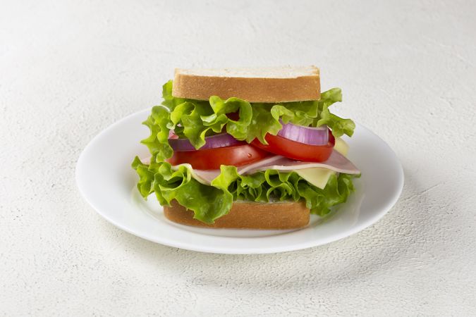 Natural sandwich. Sandwich with cheese, ham, lettuce, tomato and red onion.