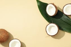 Coconut and leaf on beige background. Tropical fruit