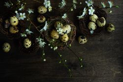 Easter holiday card concept of nest and speckled eggs on wooden table with space for text
