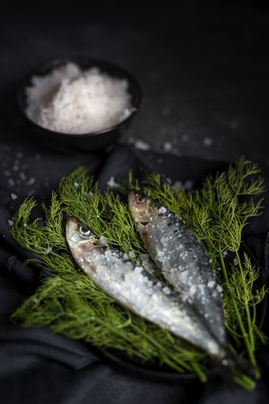Homemade salted sardines on greens on plate