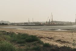 Industrial landscape with sea bay and port cranes