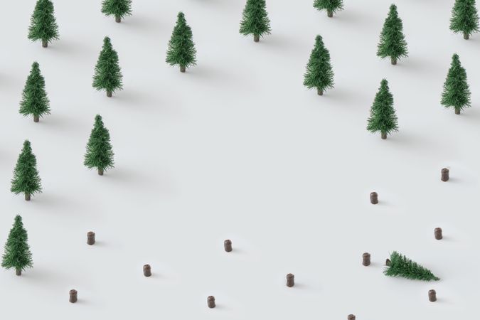 Minimal winter landscape scene with pine trees and chopped trees