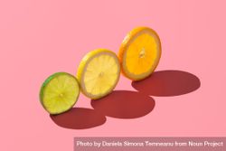 Citrus fruits variety, single slices isolated on a pink background 4ZAe35