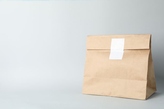 Empty paper bag on light gray background, space for text