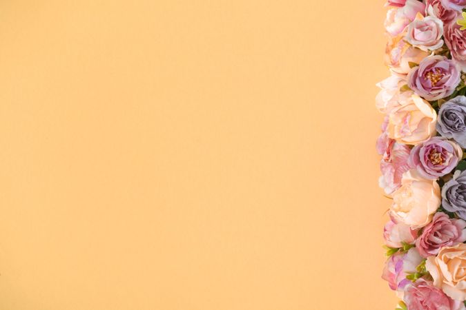 Spring flowers on side of yellow background