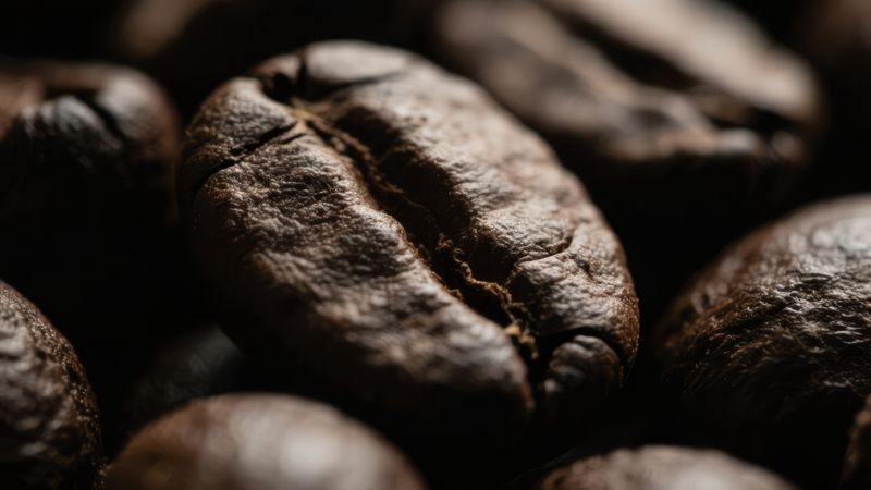 Ultra macro close up of a single dark roasted coffee bean showing texture and crevice