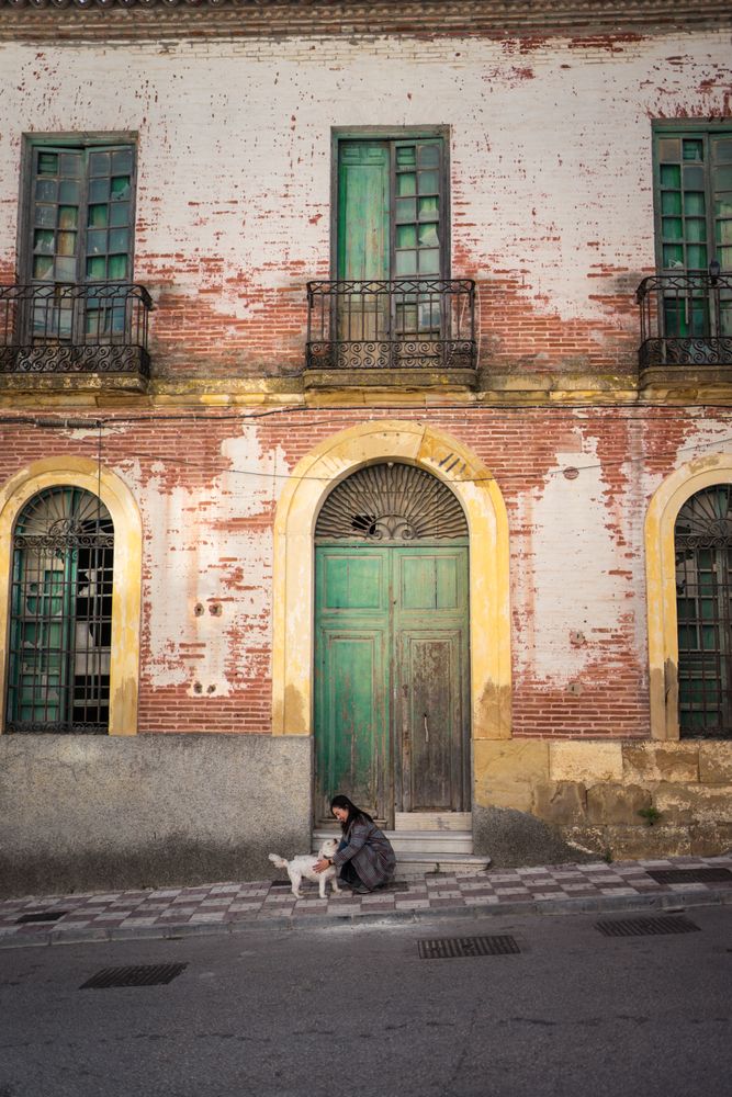 Peaceful woman stroking dog on street