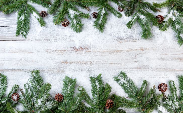 Snowy Christmas branches on rustic wooden background