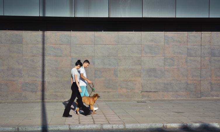 Couple walking and playing with their dog
