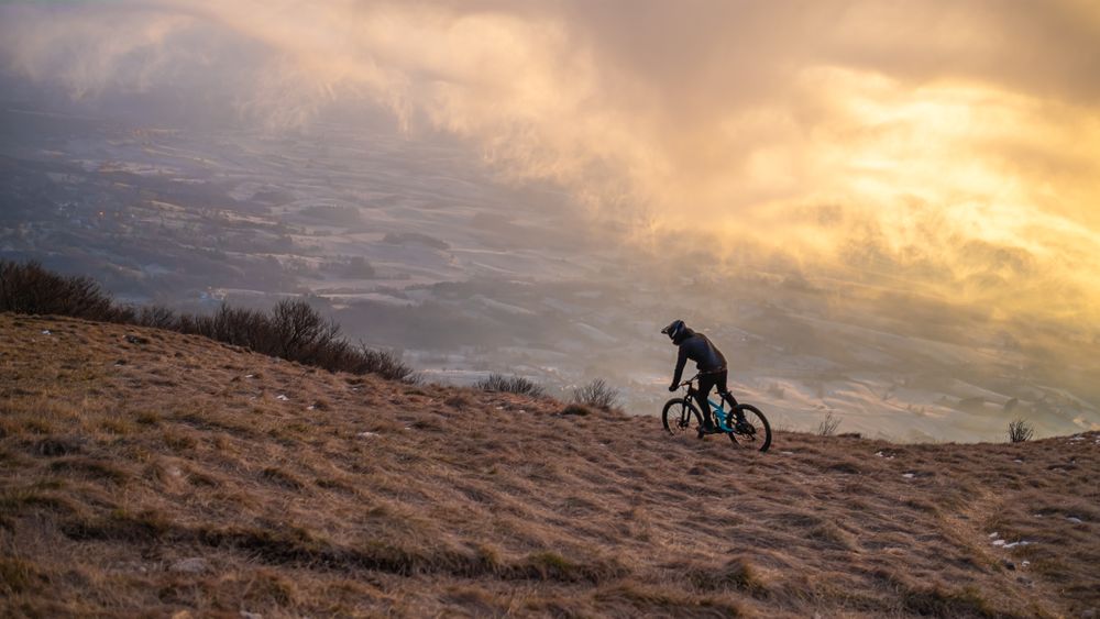 Person riding bicycle on grass field
