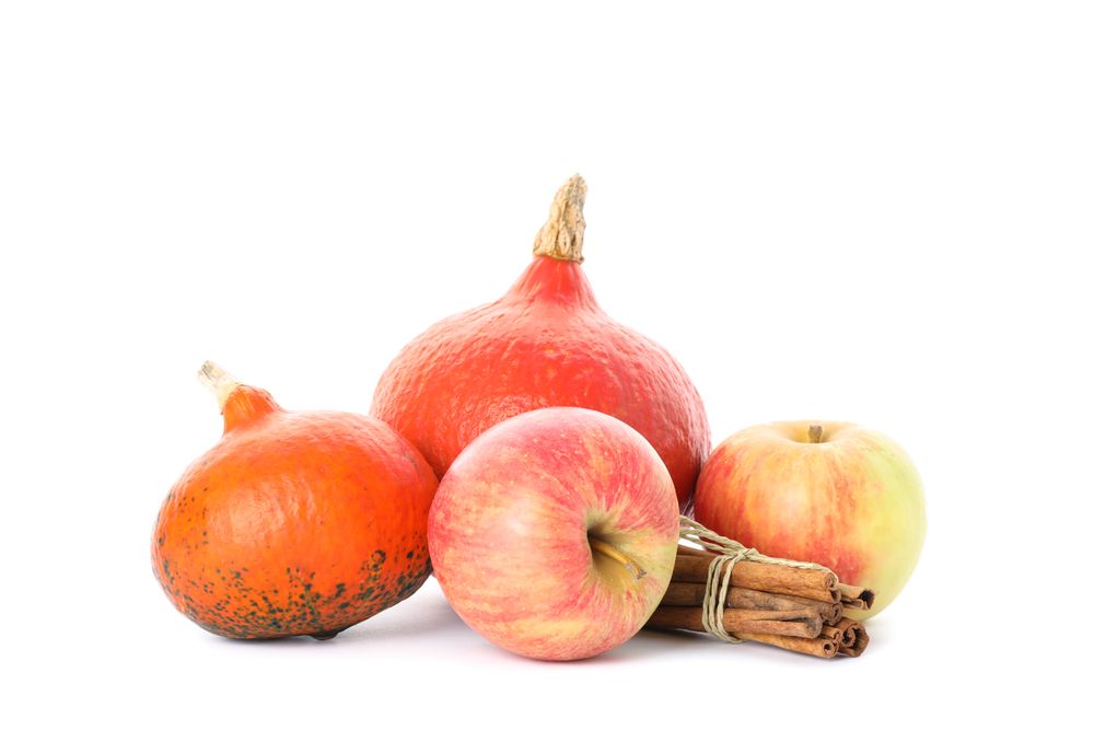 Pumpkins, apples and cinnamon isolated on plain background