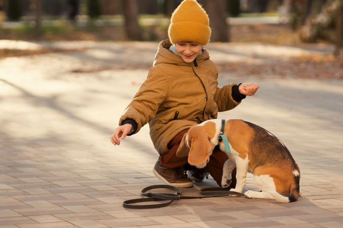 Little boy walks dog