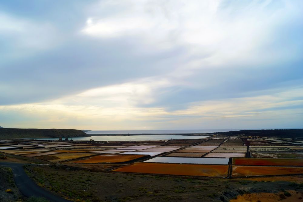 Amazing calm landscape of colorful bright fields