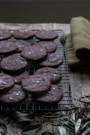 Dry olive branches near chocolate cookies