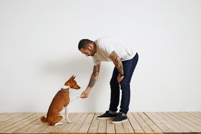 Casual, tattooed man teaching dog to shake hands
