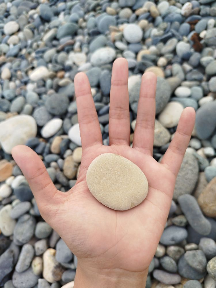 Hand Holding a Flat Stone on Rocky Beach