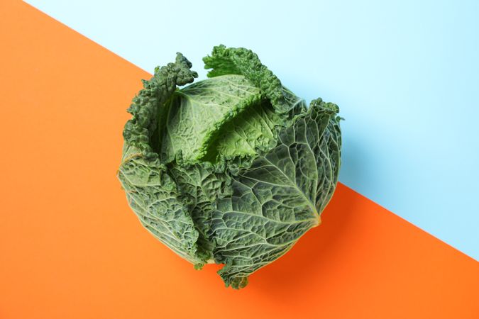 Fresh cabbage on two tone background, copy space