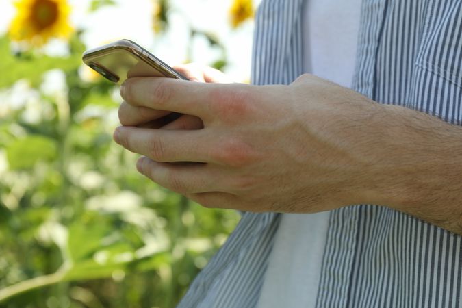 Man with phone in sunflower field. Agriculture business