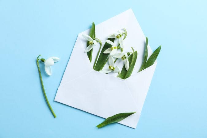 Envelope with snowdrop flowers on color background, space for text