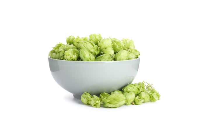 Bowl with hop cones isolated on blank background