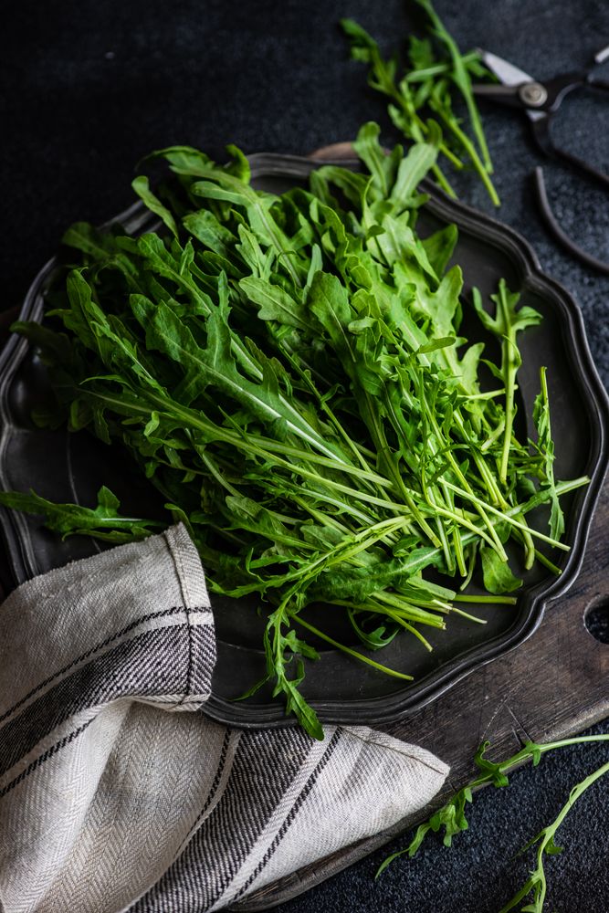 Healthy food plate with fresh arugula leaves