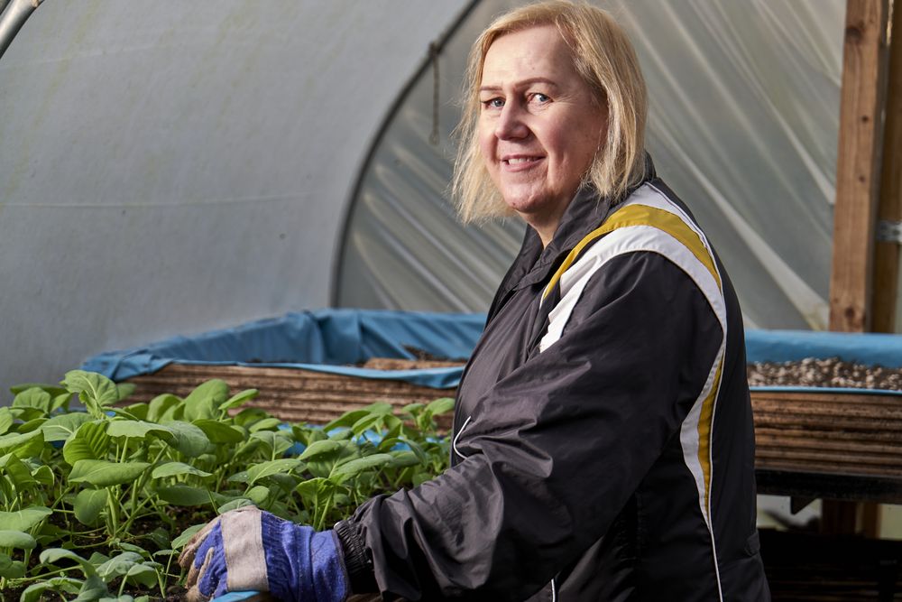 Older woman with plant box in greenhouse