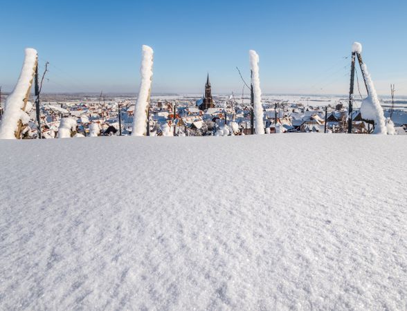 Alsace vineyards under heavy snow on a sunny winter day. Details and top view.
