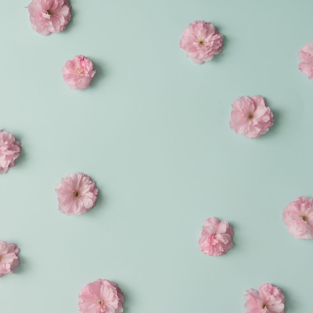 Pink flower pattern on blue pastel background