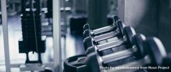 Weights on the rack in a gym or fitness center bE3GA5