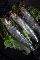 Homemade salted sardines on greens on plate