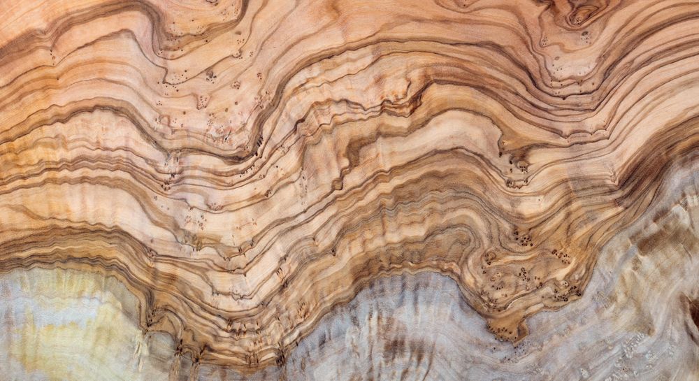Close up of grainy hardwood
