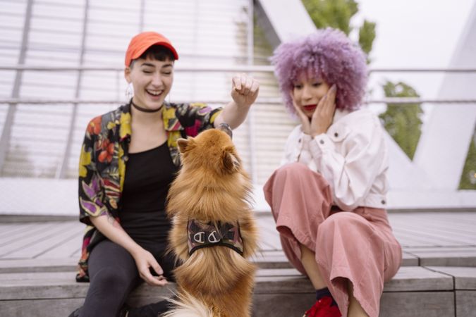 Women in colorful shirt and with pink hair training dog and having fun