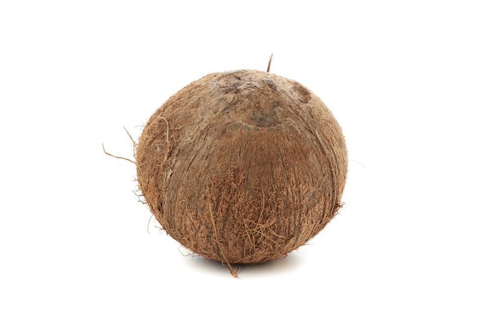 Whole coconut isolated on plain background. Tropical fruit